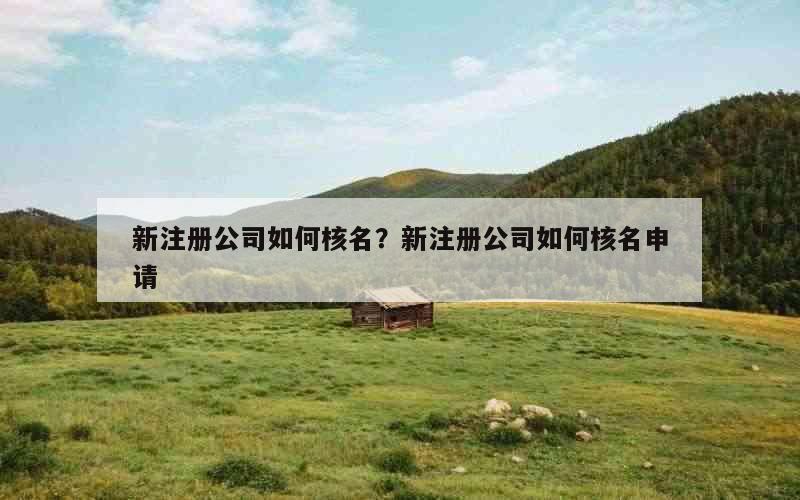新注册公司如何核名？新注册公司如何核名申请