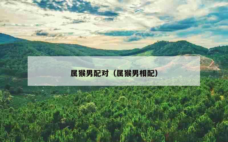 属猴男配对（属猴男相配）