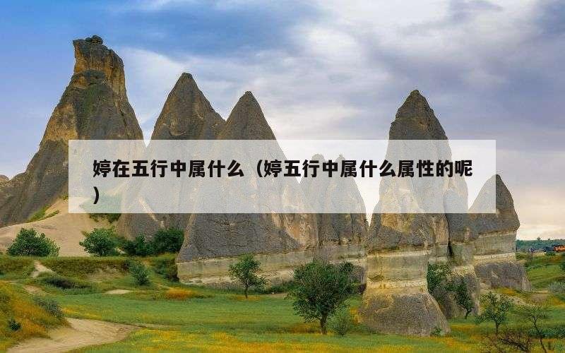 婷在五行中属什么（婷五行中属什么属性的呢）