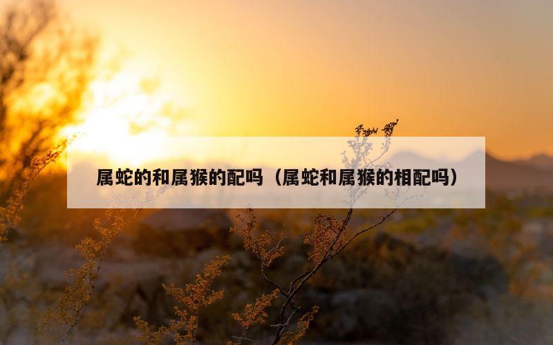 属蛇的和属猴的配吗（属蛇和属猴的相配吗）