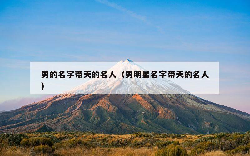 男的名字带天的名人（男明星名字带天的名人）