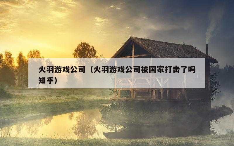火羽游戏公司（火羽游戏公司被国家打击了吗知乎）