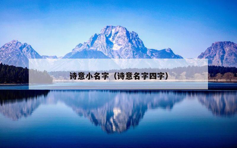 诗意小名字（诗意名字四字）