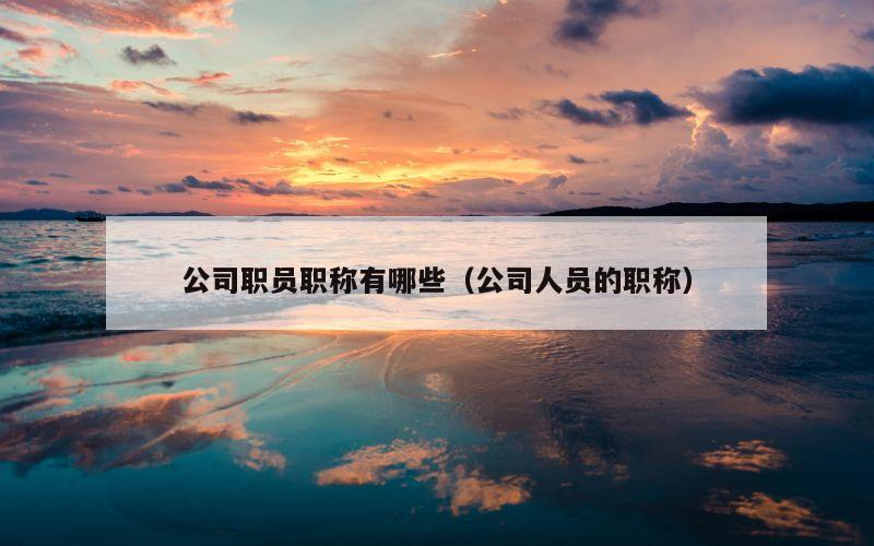 公司职员职称有哪些（公司人员的职称）
