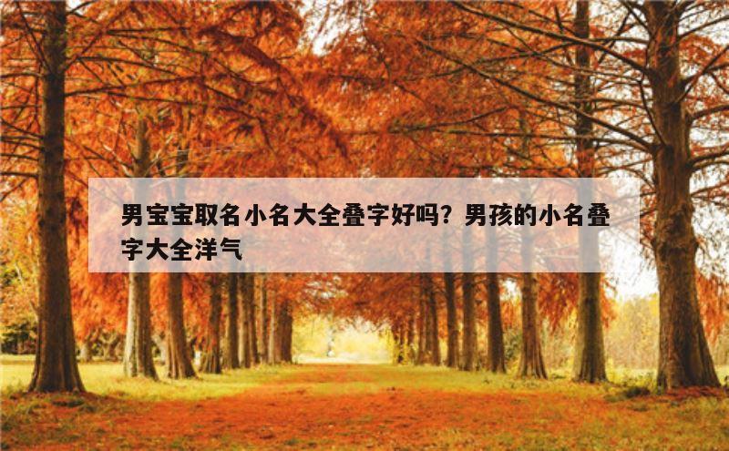 男宝宝取名小名大全叠字好吗？男孩的小名叠字大全洋气