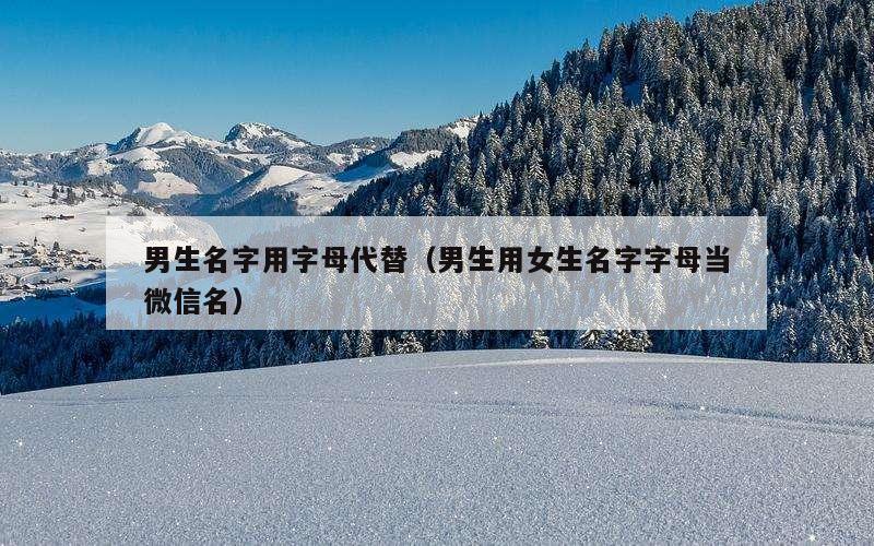 男生名字用字母代替（男生用女生名字字母当微信名）