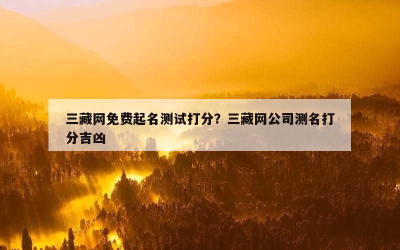三藏网免费起名测试打分？三藏网公司测名打分吉凶