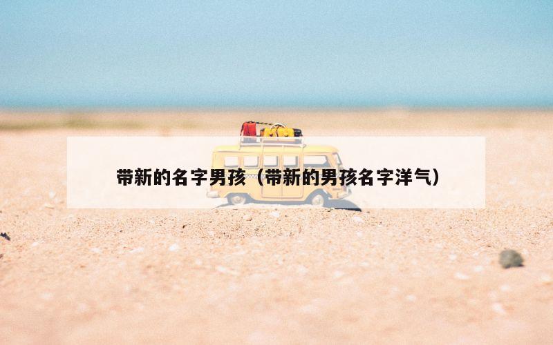带新的名字男孩（带新的男孩名字洋气）