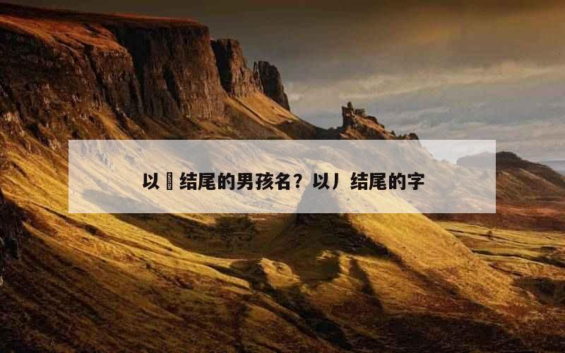 以珵结尾的男孩名？以丿结尾的字