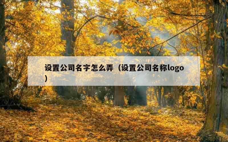 设置公司名字怎么弄（设置公司名称logo）