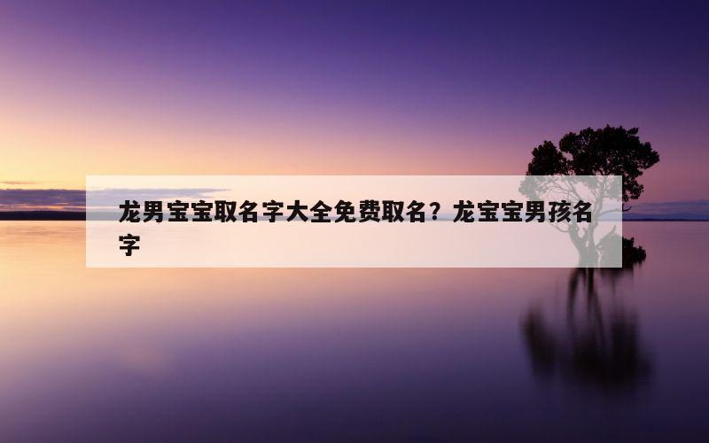 龙男宝宝取名字大全免费取名？龙宝宝男孩名字