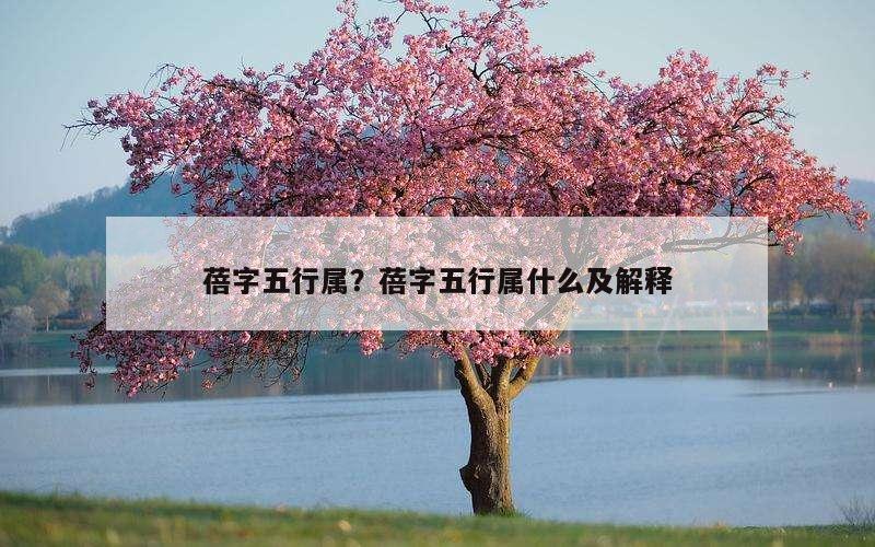蓓字五行属？蓓字五行属什么及解释