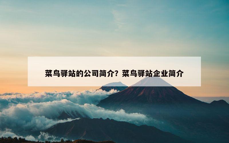 菜鸟驿站的公司简介？菜鸟驿站企业简介