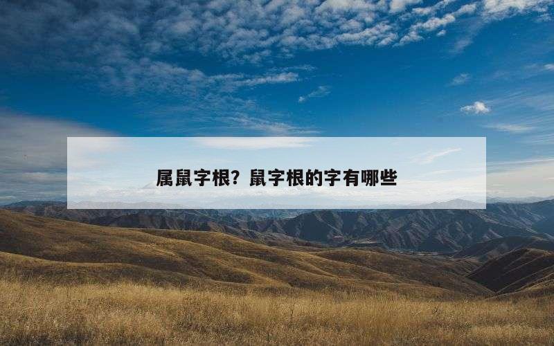 属鼠字根？鼠字根的字有哪些
