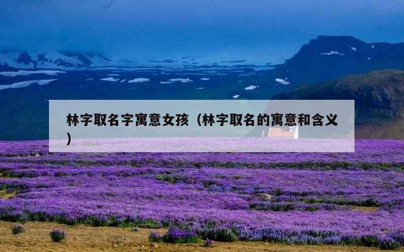 林字取名字寓意女孩（林字取名的寓意和含义）