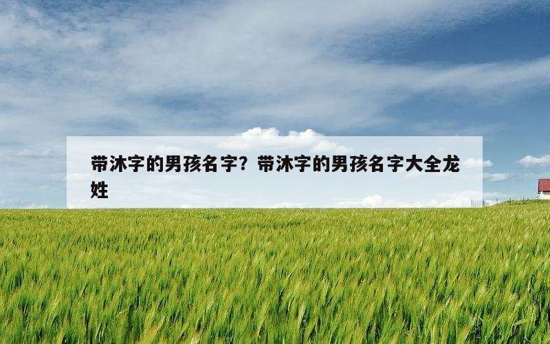 带沐字的男孩名字？带沐字的男孩名字大全龙姓