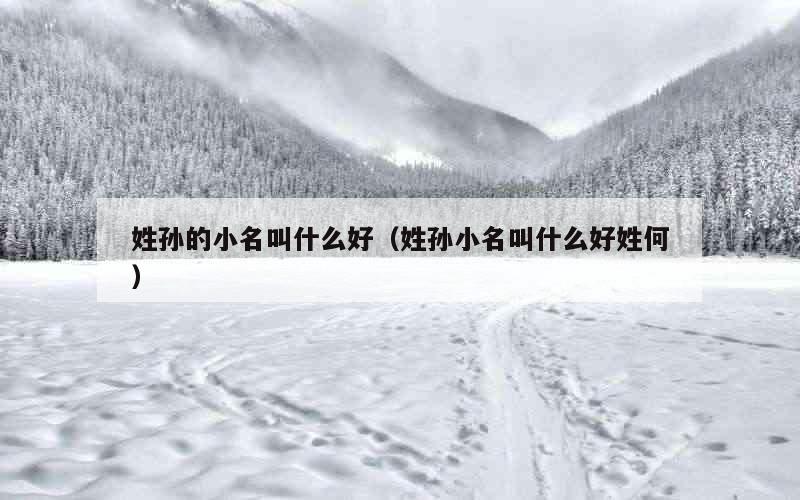 姓孙的小名叫什么好（姓孙小名叫什么好姓何）