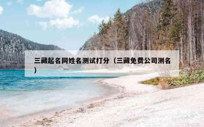 三藏起名网姓名测试打分（三藏免费公司测名）