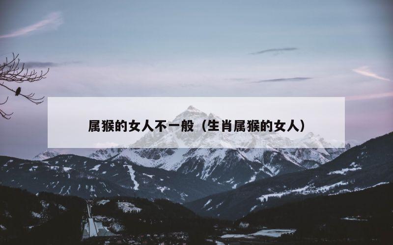 属猴的女人不一般（生肖属猴的女人）