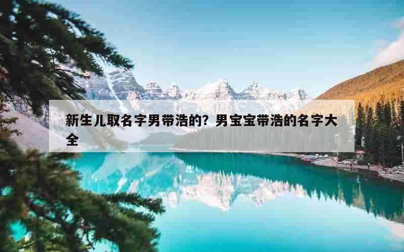 新生儿取名字男带浩的？男宝宝带浩的名字大全