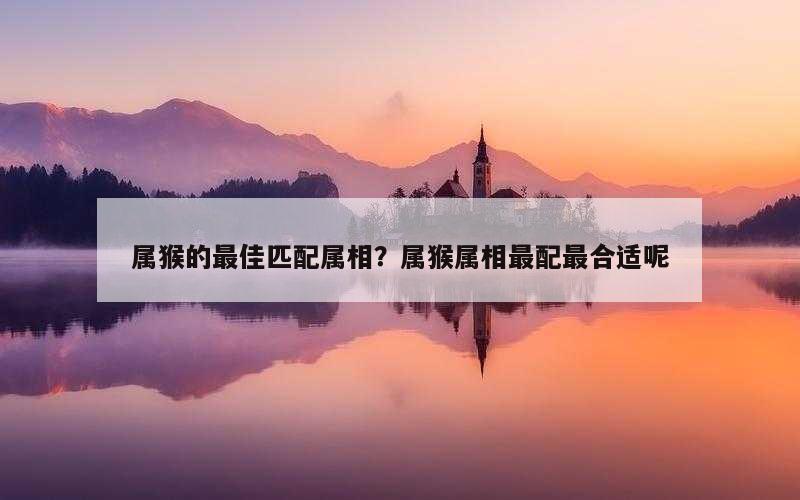 属猴的最佳匹配属相？属猴属相最配最合适呢