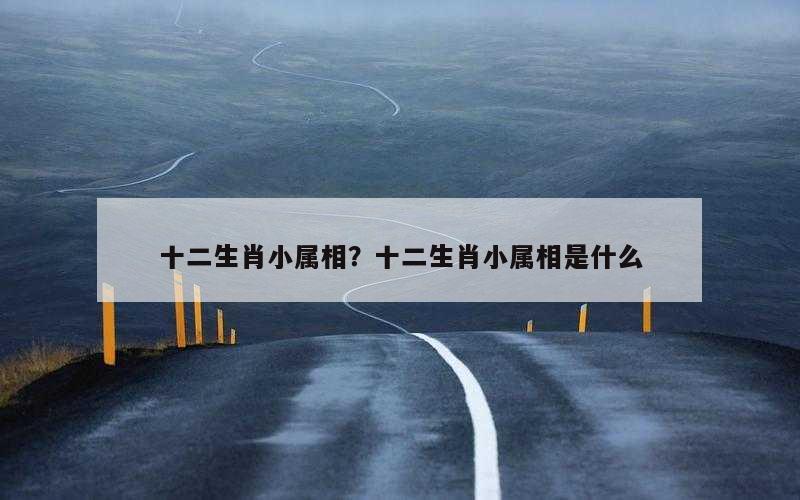 十二生肖小属相？十二生肖小属相是什么