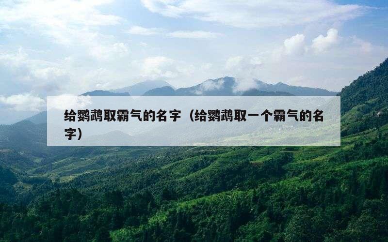 给鹦鹉取霸气的名字（给鹦鹉取一个霸气的名字）