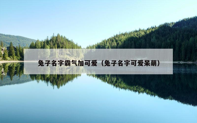 兔子名字霸气加可爱（兔子名字可爱呆萌）