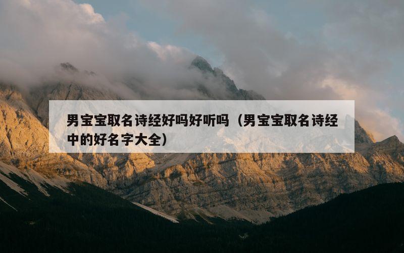 男宝宝取名诗经好吗好听吗（男宝宝取名诗经中的好名字大全）