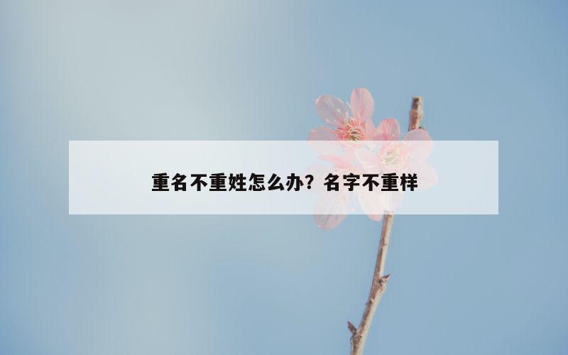 重名不重姓怎么办？名字不重样