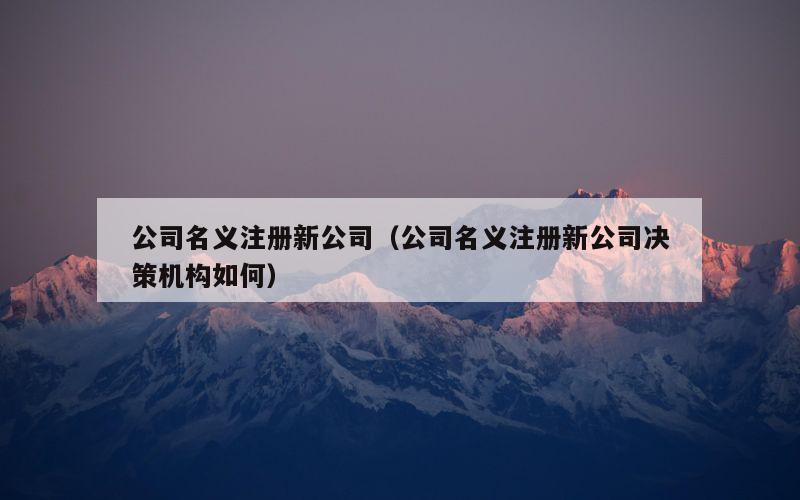 公司名义注册新公司（公司名义注册新公司决策机构如何）