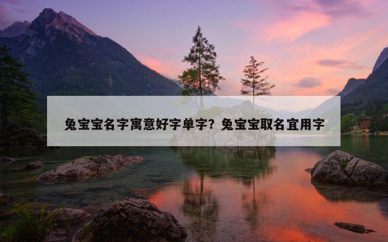 兔宝宝名字寓意好字单字？兔宝宝取名宜用字