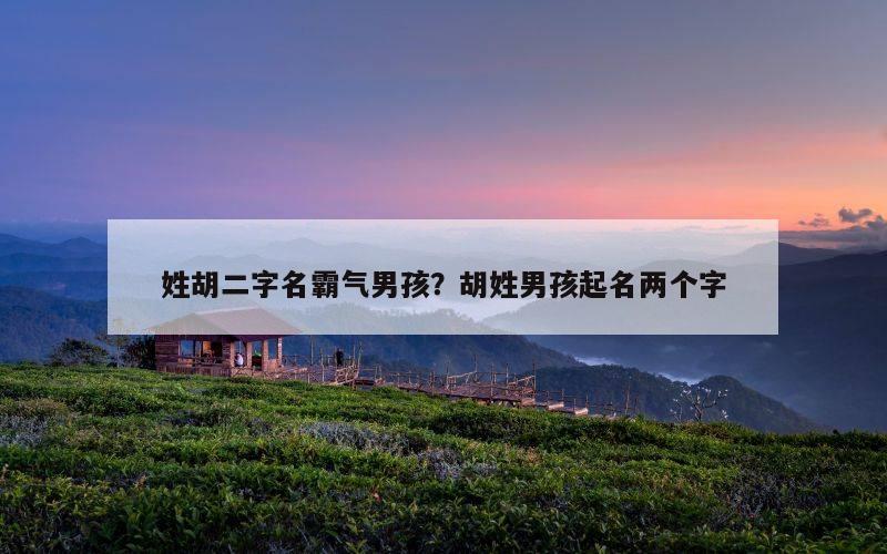 姓胡二字名霸气男孩？胡姓男孩起名两个字