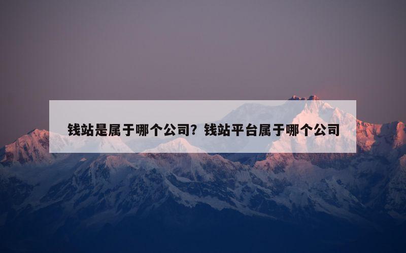 钱站是属于哪个公司？钱站平台属于哪个公司