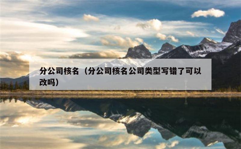 分公司核名（分公司核名公司类型写错了可以改吗）