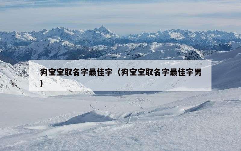 狗宝宝取名字最佳字（狗宝宝取名字最佳字男）