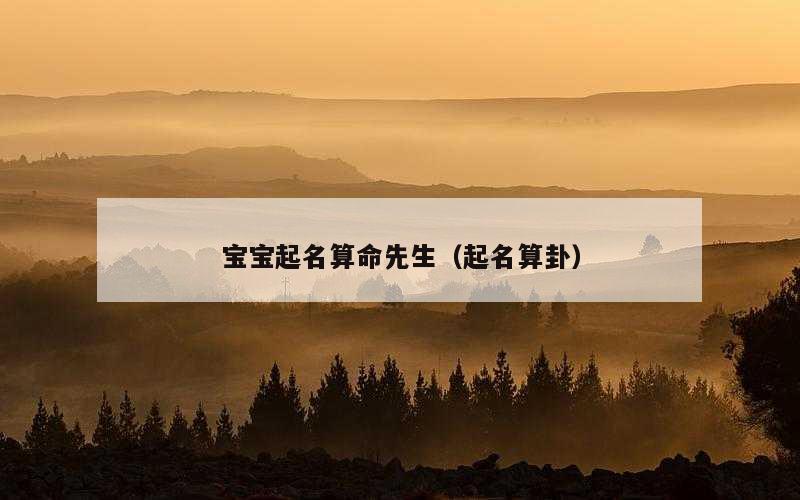 宝宝起名算命先生（起名算卦）