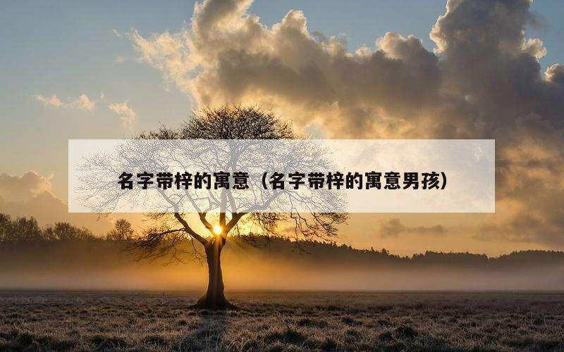 名字带梓的寓意（名字带梓的寓意男孩）