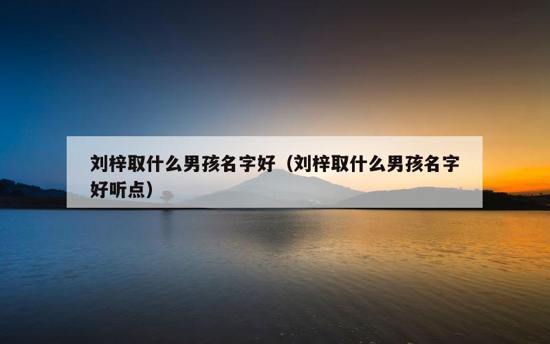 刘梓取什么男孩名字好（刘梓取什么男孩名字好听点）