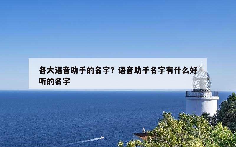 各大语音助手的名字？语音助手名字有什么好听的名字