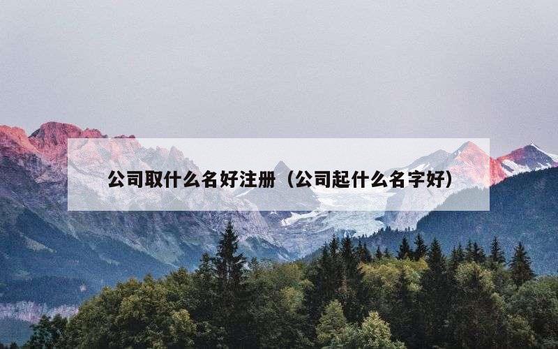 公司取什么名好注册（公司起什么名字好）