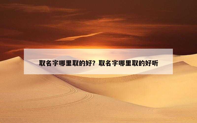 取名字哪里取的好？取名字哪里取的好听