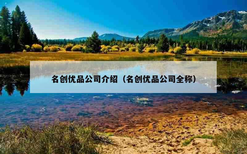 名创优品公司介绍（名创优品公司全称）