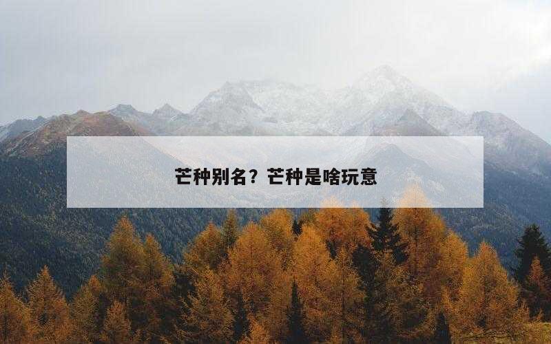 芒种别名？芒种是啥玩意