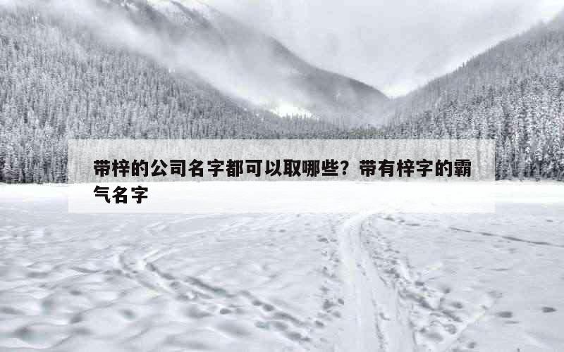 带梓的公司名字都可以取哪些？带有梓字的霸气名字