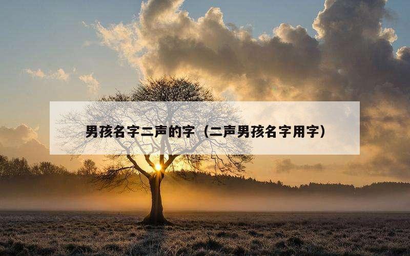 男孩名字二声的字（二声男孩名字用字）