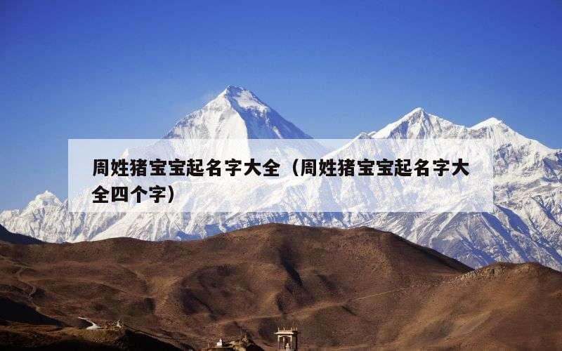 周姓猪宝宝起名字大全（周姓猪宝宝起名字大全四个字）