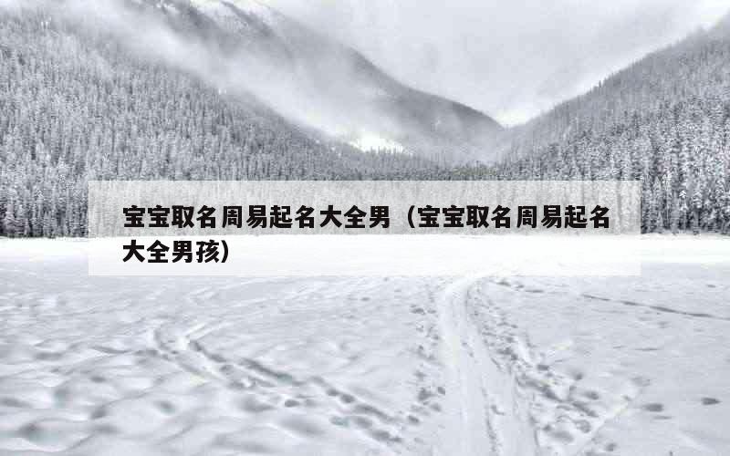 宝宝取名周易起名大全男（宝宝取名周易起名大全男孩）