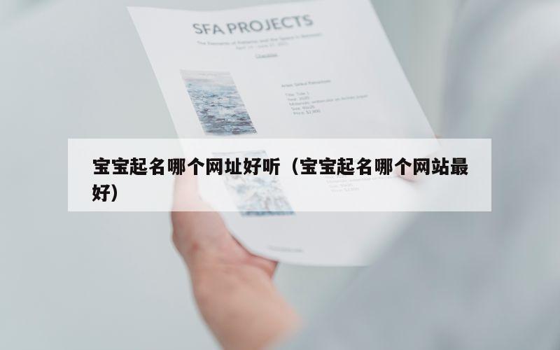 宝宝起名哪个网址好听（宝宝起名哪个网站最好）