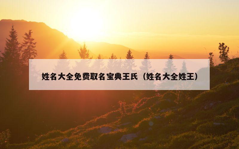 姓名大全免费取名宝典王氏（姓名大全姓王）